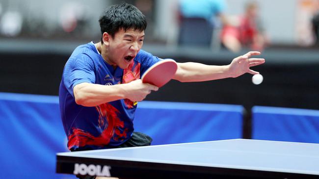 好奇这证到 好奇这证到