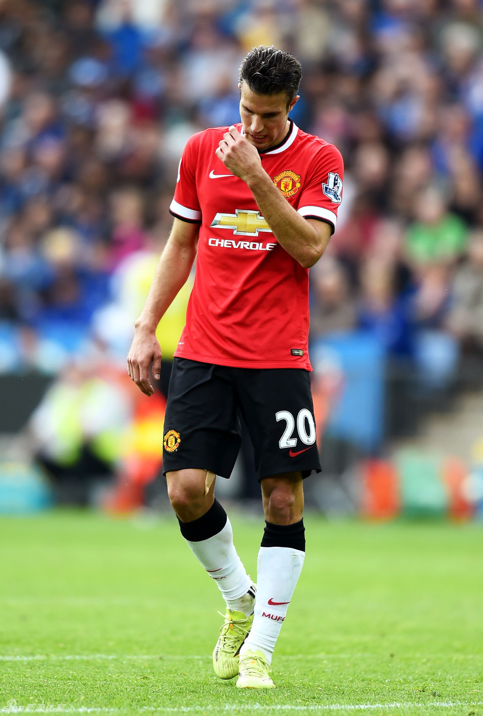 东契奇已将 东契奇已将