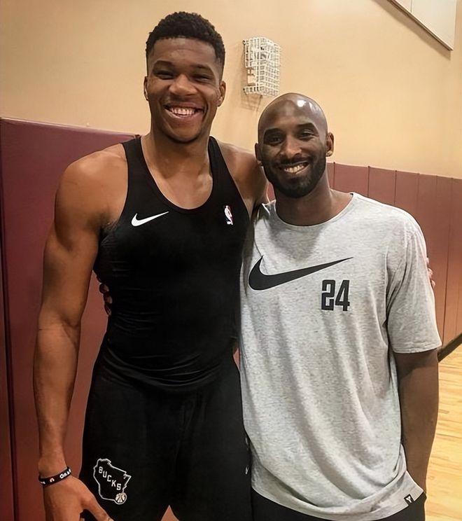 的保护篮板 的保护篮板